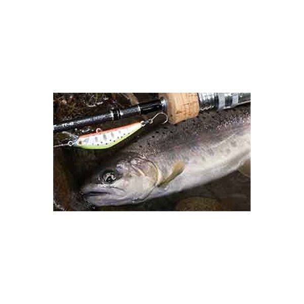 Ｄ－コンパクト　ＦＥＳ　４５